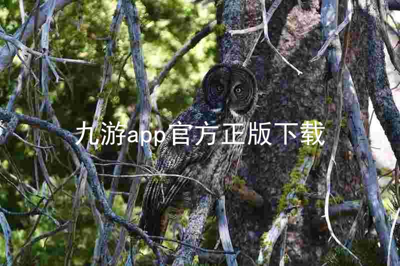 九游app官方正版下载