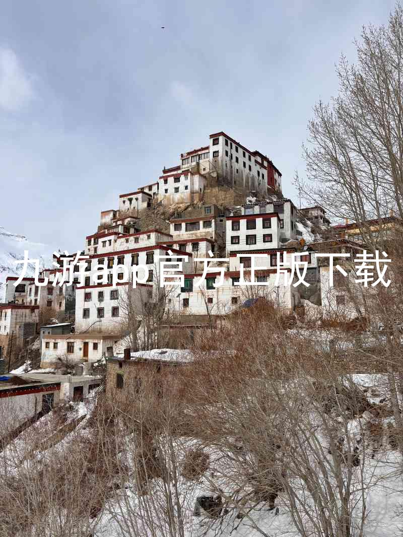 九游app官方正版下载